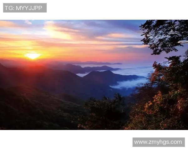 杨芳的攀岩人生：在高峰与深渊之间的深度对话与心灵探索