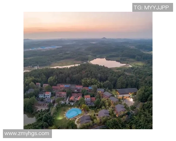 武汉飞盘队的拼搏之路与攀岩联赛的精彩瞬间回顾