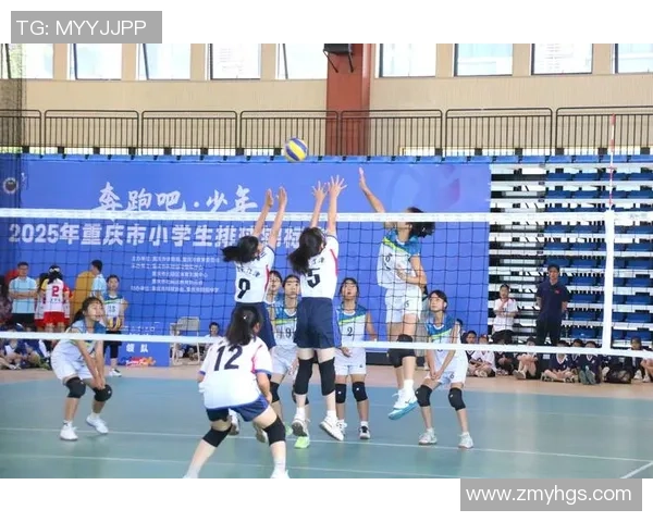 重庆排球队的节奏打法深度解析与战术优势剖析